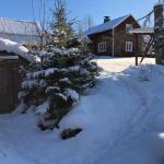 Ice cellar / Earth cellar