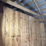 Shed right (without bottom)