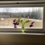 Kleines Schlafzimmer 2